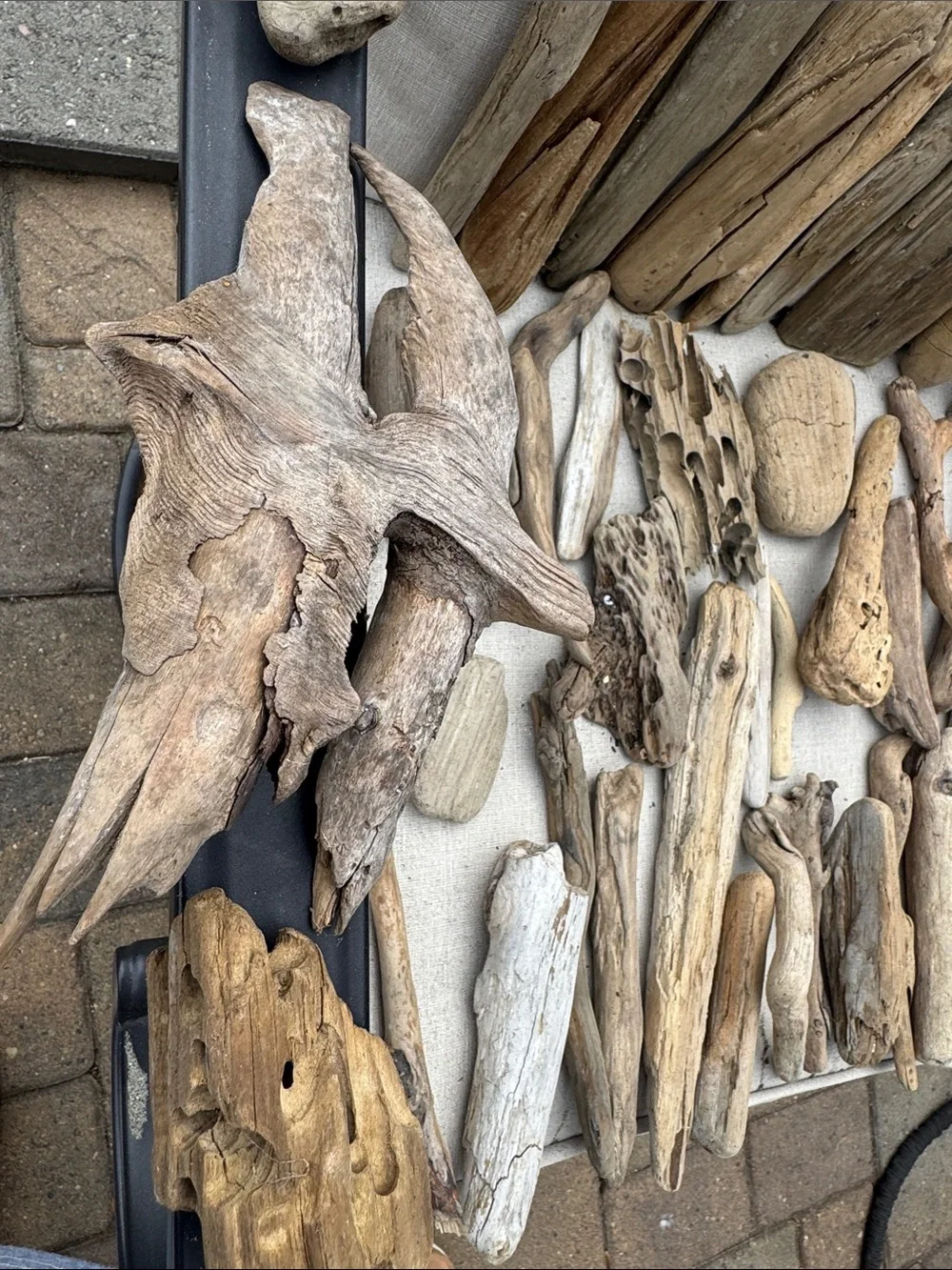 43 pc for (5 lbs shipped) Box of Natural Driftwood Pieces Decor Crafts Projects